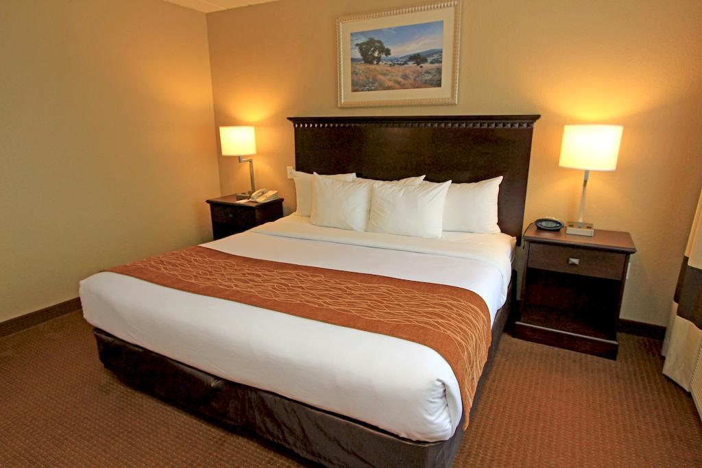 Comfort Suites Austin Airport Dış mekan fotoğraf